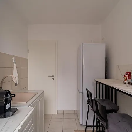 Black Iris - Cismigiu Park *