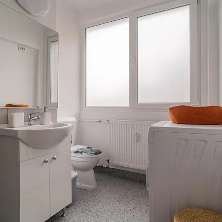 Black Iris - Cismigiu Park Bukarest