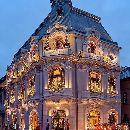 Black Iris - Cismigiu Park *