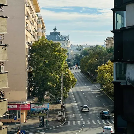 Black Iris - Cismigiu Park