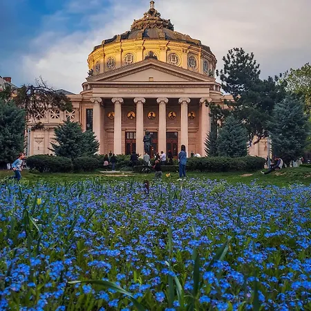 Black Iris - Cismigiu Park *