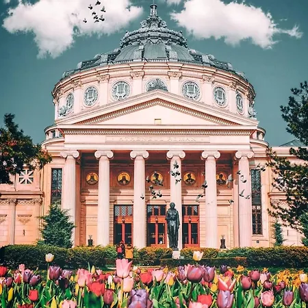 Lägenhet Black Iris - Cismigiu Park