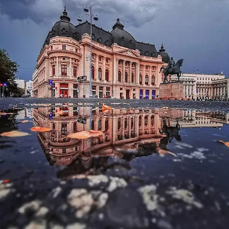 Black Iris - Cismigiu Park *