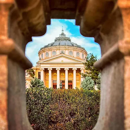 Black Iris - Cismigiu Park Apartment