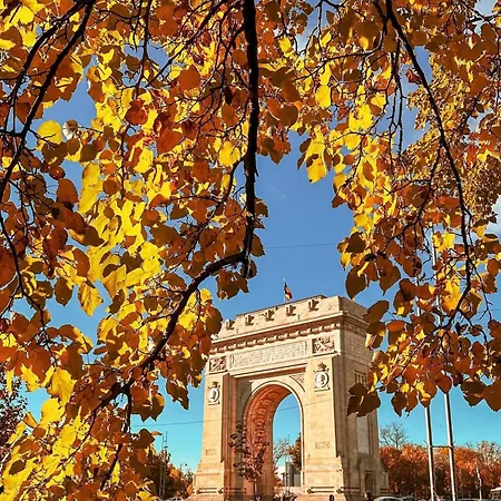 Black Iris - Cismigiu Park *