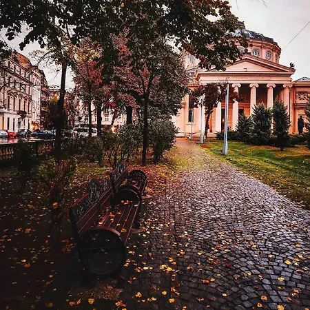 Black Iris - Cismigiu Park Lägenhet Bukarest