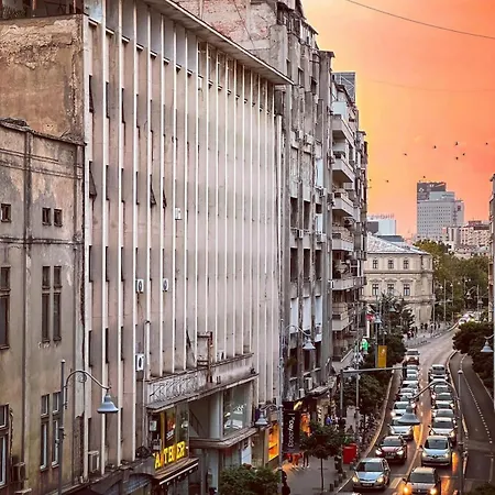 Black Iris - Cismigiu Park