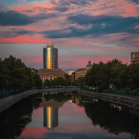 Black Iris - Cismigiu Park * Bukarest