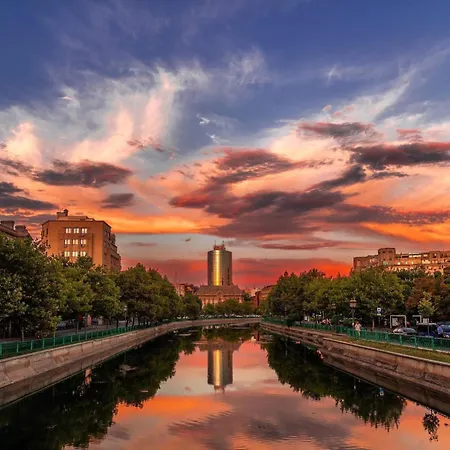 Black Iris - Cismigiu Park
