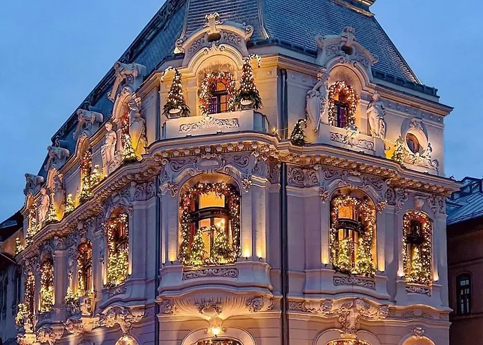 Black Iris - Cismigiu Park *