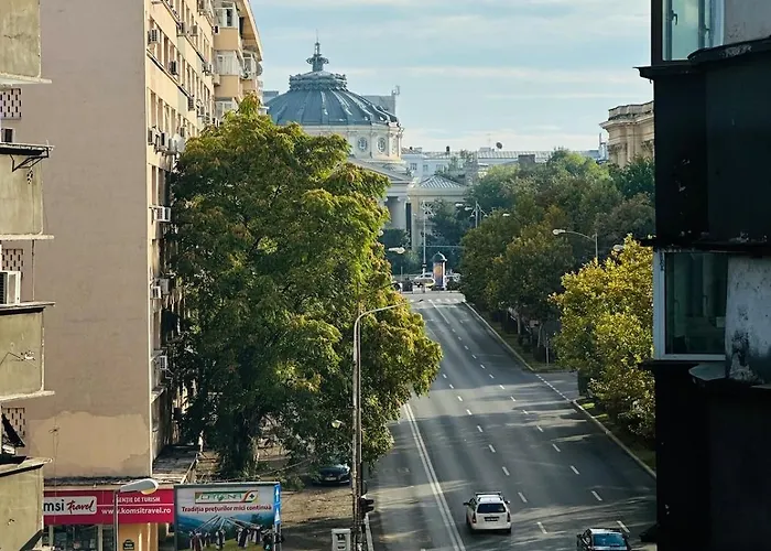 Black Iris - Cismigiu Park