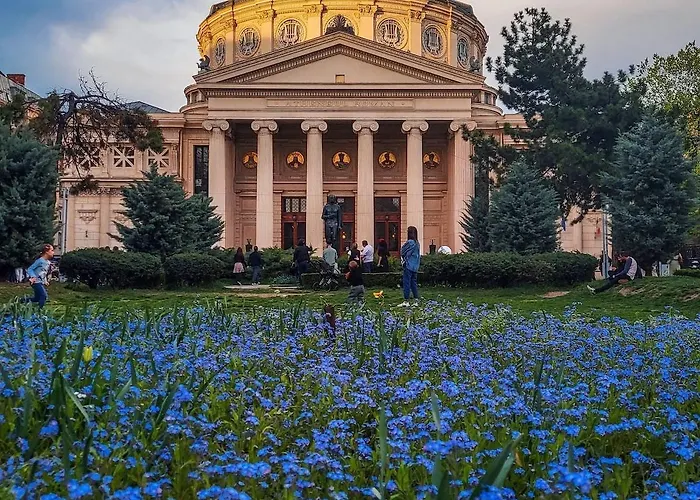 Black Iris - Cismigiu Park *