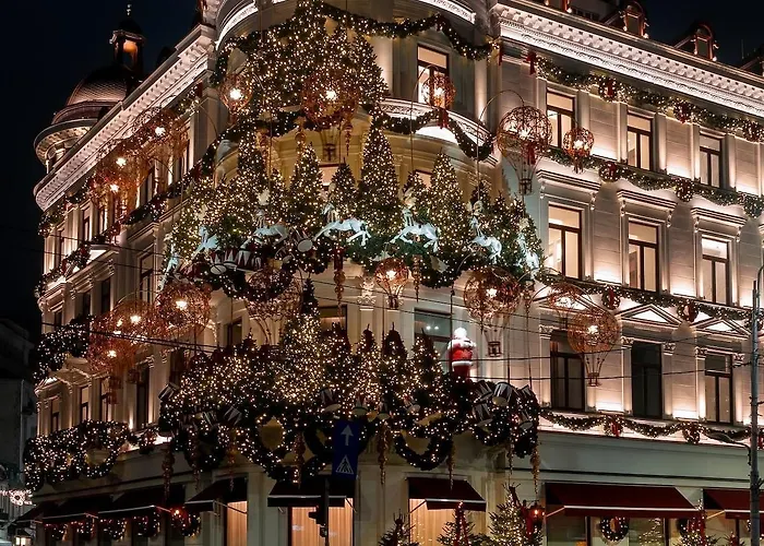 Black Iris - Cismigiu Park Bucarest