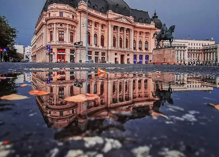 Black Iris - Cismigiu Park *