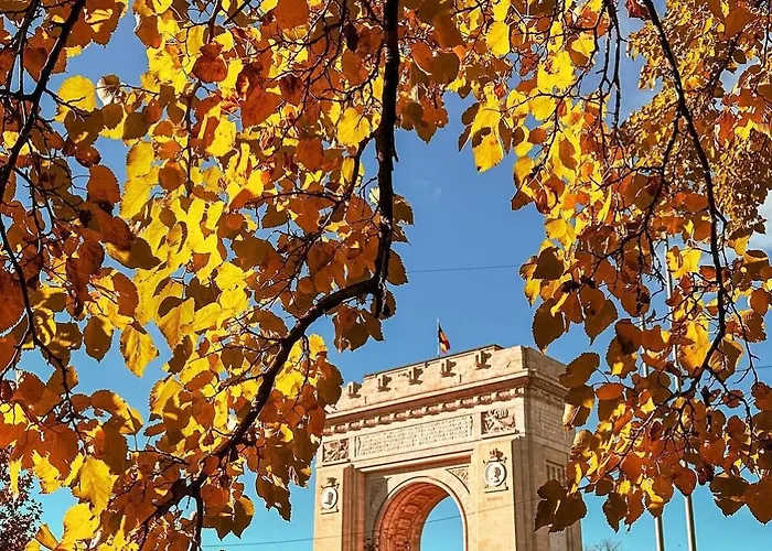 Black Iris - Cismigiu Park *