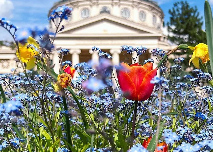 Apartamento Black Iris - Cismigiu Park