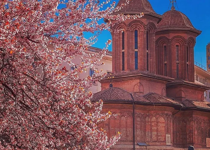 Black Iris - Cismigiu Park ブカレスト