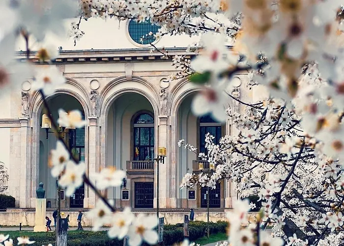 Black Iris - Cismigiu Park ブカレスト