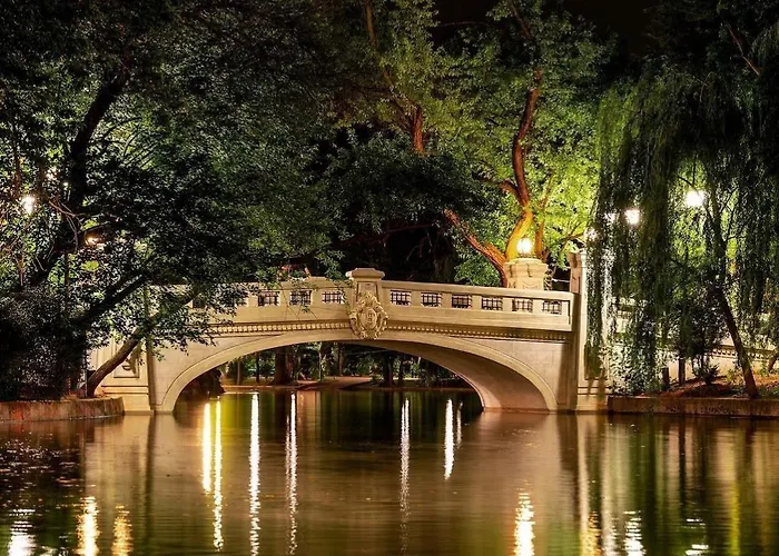 Black Iris - Cismigiu Park * Bucarest