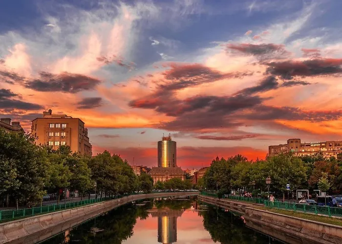 Black Iris - Cismigiu Park